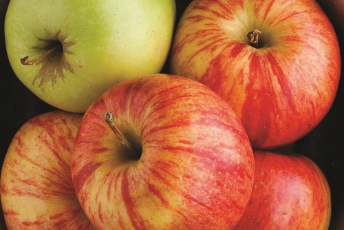 La Quinta Inn & Suites by Wyndham Knoxville North I-75 image 38